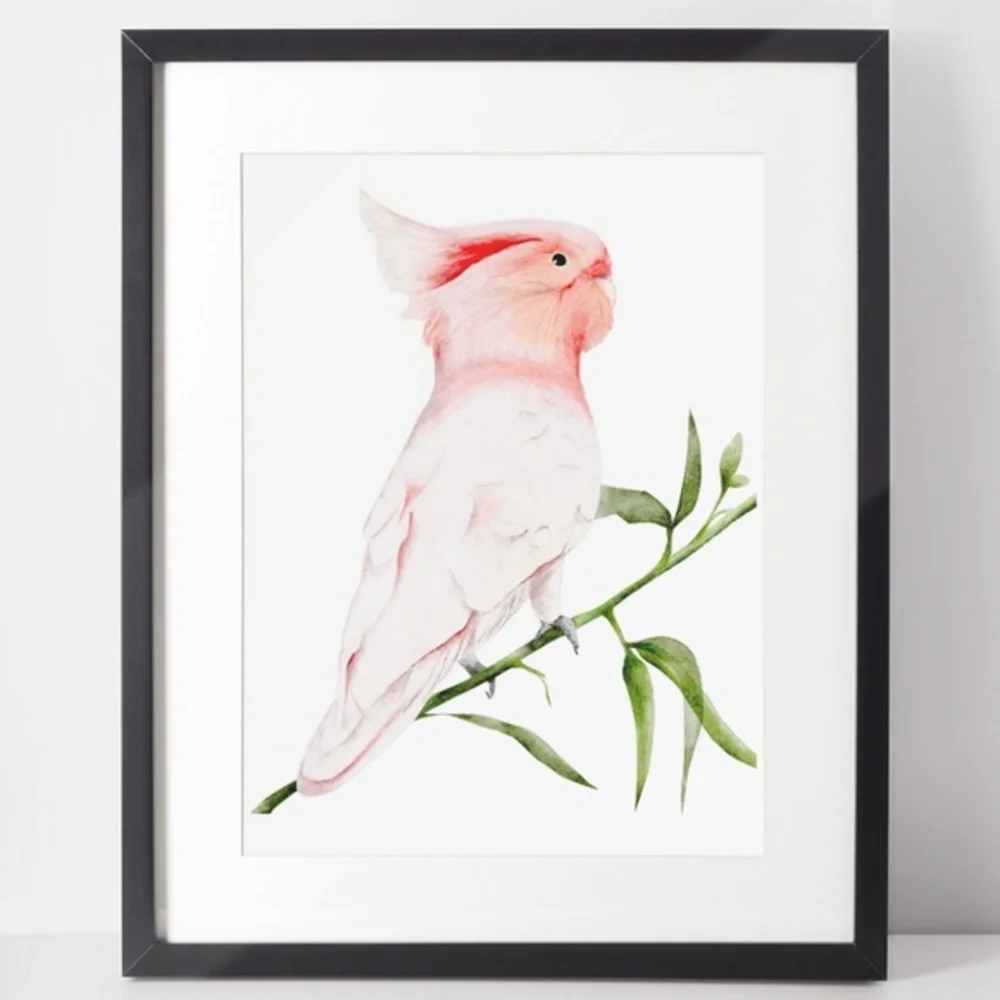 Wall Art Major Michell's Cockatoo Print Unframed - Picture 1 of 6